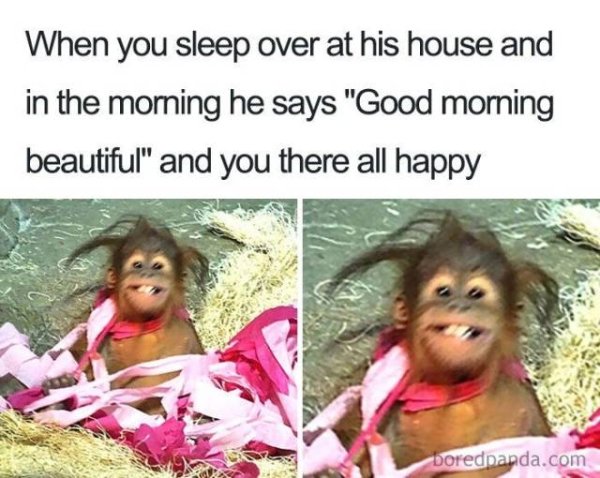 kemala como zoo - When you sleep over at his house and in the morning he says "Good morning beautiful" and you there all happy boredpanda.com