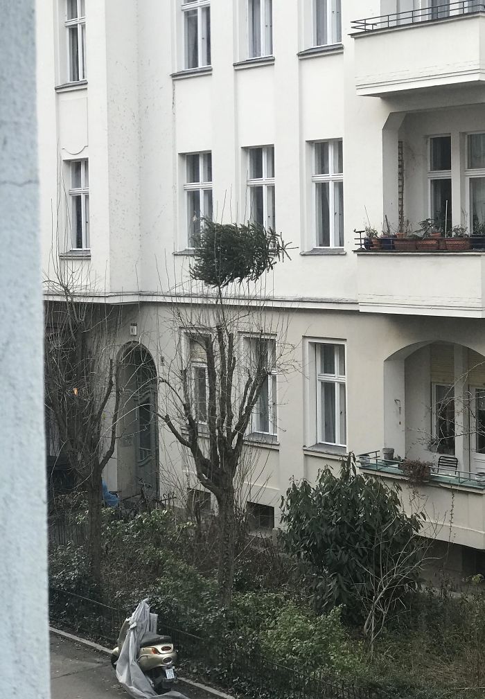 christmas tree thrown over balcony