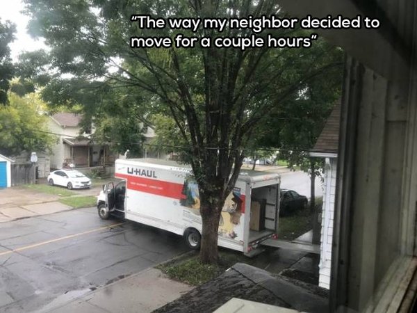 tree - "The way my neighbor decided to move for a couple hours"