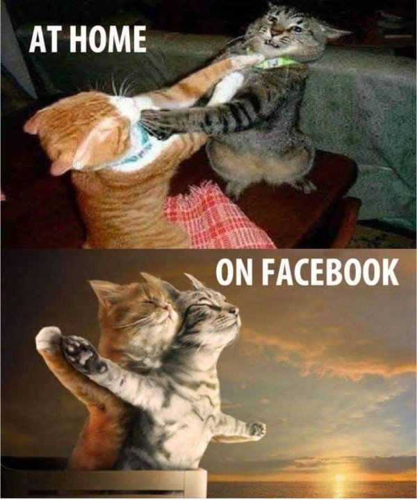 memes - home on facebook