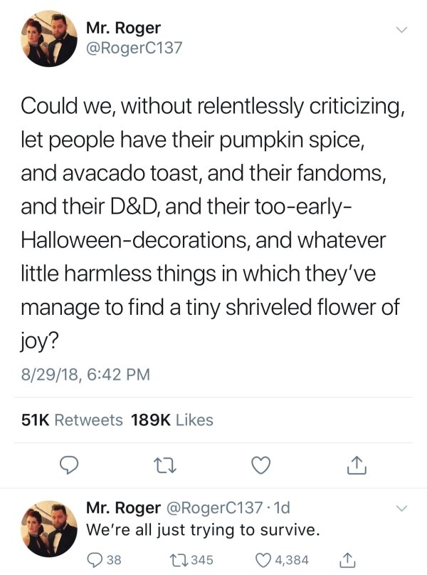 memes - animal - Mr. Roger Could we, without relentlessly criticizing, let people have their pumpkin spice, and avacado toast, and their fandoms, and their D&D, and their tooearly Halloweendecorations, and whatever little harmless things in which they've 
