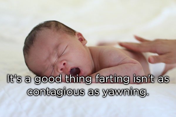 infant - It's a good thing farting isn't as contagious as yawning.