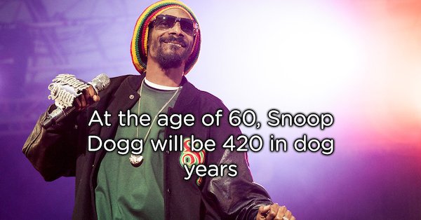 snoop dogg performing - At the age of 60, Snoop Dogg will be 420 in dog years