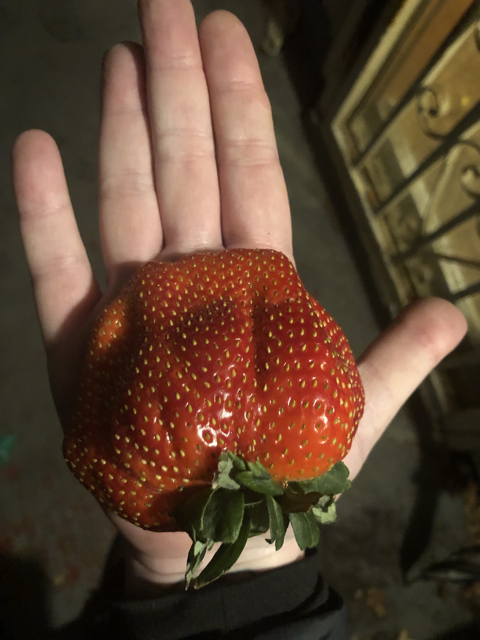 memes - big strawberry