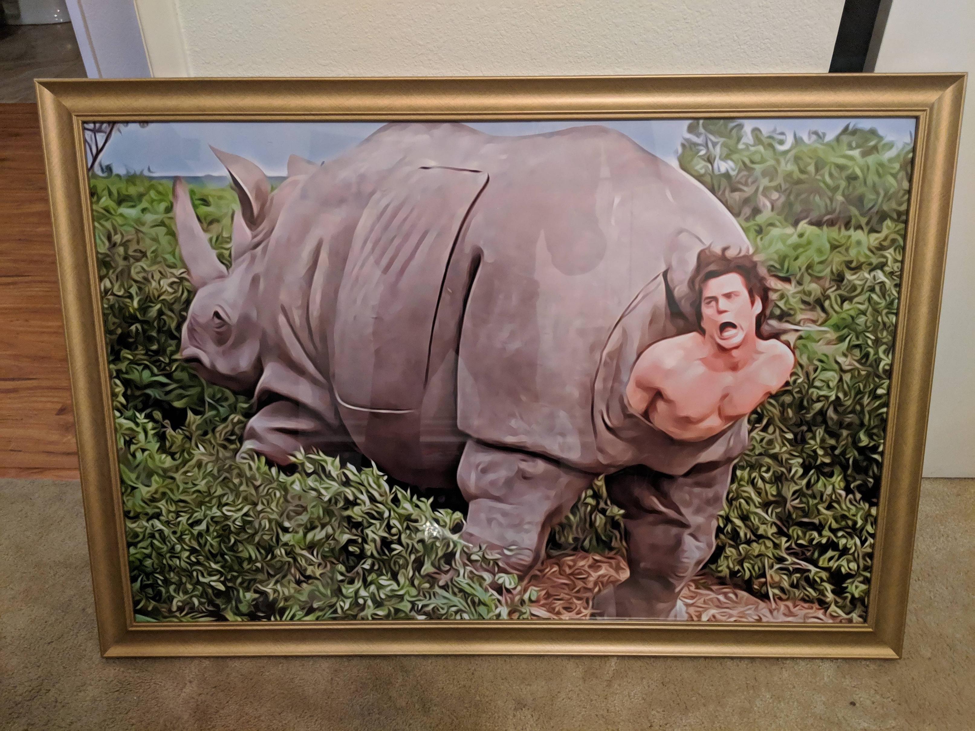 memes - jim carrey rhino painting