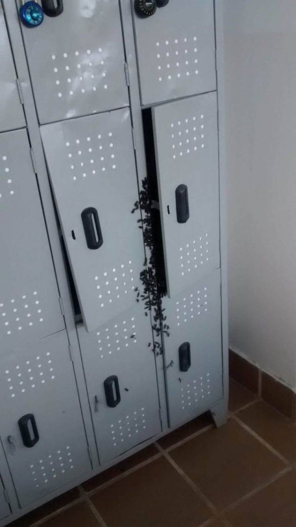 cursed image - scary locker