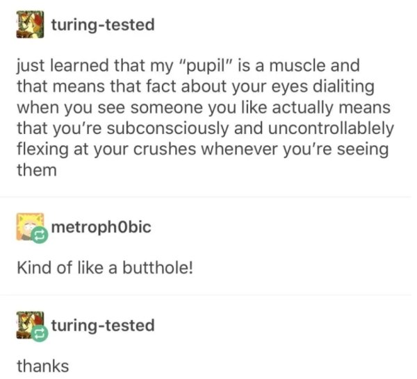 you wouldn t steal a plant - turingtested just learned that my "pupil" is a muscle and that means that fact about your eyes dialiting when you see someone you actually means that you're subconsciously and uncontrollablely flexing at your crushes whenever 