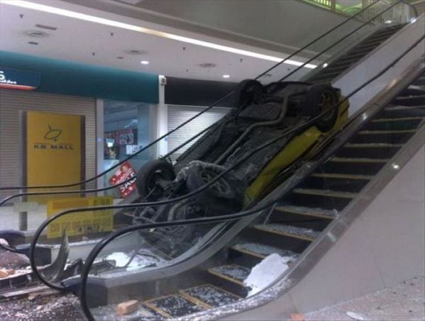 cat stuck on an escalator in crash