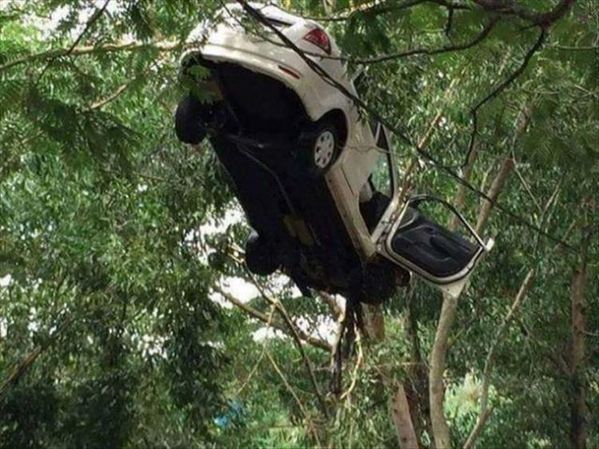 car gets stuck in tree