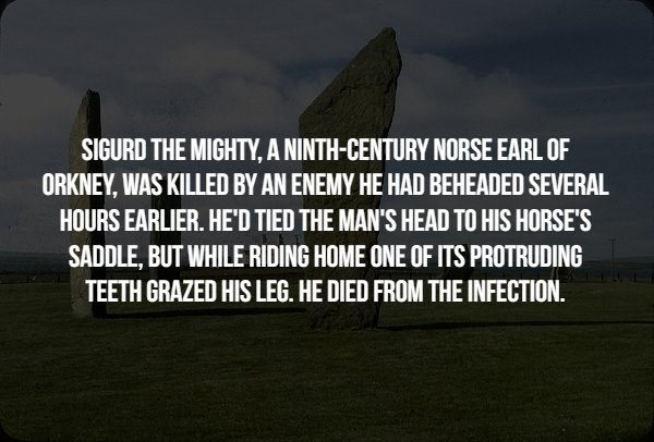 disturbing facts - Sigurd The Mighty, A NinthCentury Norse Earl Of Orkney. Was Killed By An Enemy He Had Beheaded Several Hours Earlier. He'D Tied The Man'S Head To His Horse'S Saddle, But While Riding Home One Of Its Protruding Teeth Grazed His Leg. He D