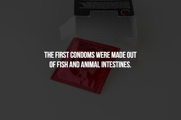 graphics - The First Condoms Were Made Out Of Fish And Animal Intestines.