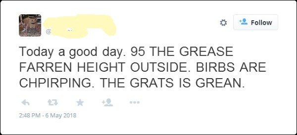 diagram - Today a good day. 95 The Grease Farren Height Outside. Birbs Are Chpirping. The Grats Is Grean.