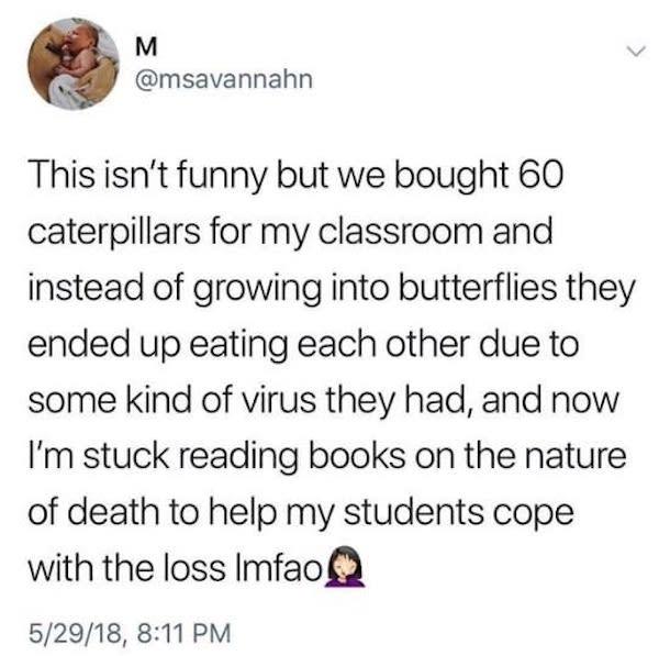 1 peter 3 3 4 - This isn't funny but we bought 60 caterpillars for my classroom and instead of growing into butterflies they ended up eating each other due to some kind of virus they had, and now I'm stuck reading books on the nature of death to help my s