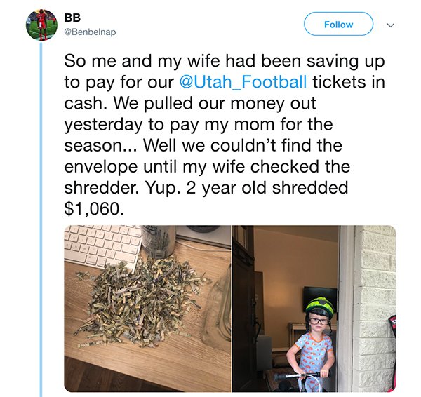 tree - Bb p So me and my wife had been saving up to pay for our tickets in cash. We pulled our money out yesterday to pay my mom for the season... Well we couldn't find the envelope until my wife checked the shredder. Yup. 2 year old shredded $1,060.