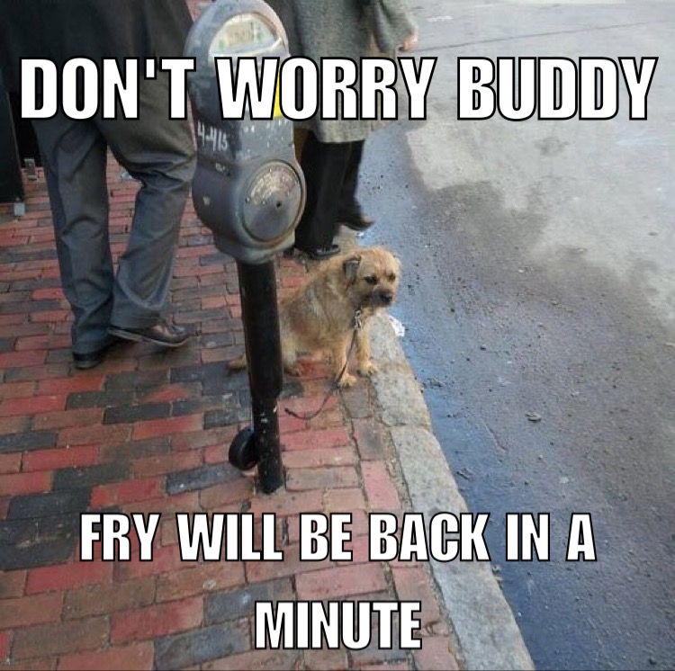 Don'T Worry Buddy Fry Will Be Back In A Minute