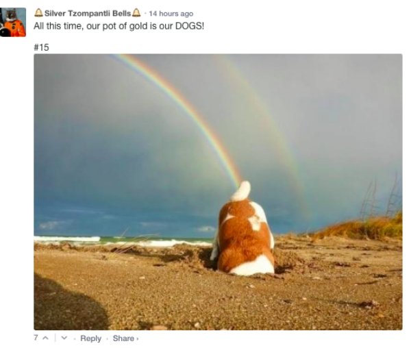 rainbow funny dog - A Silver Tzompantli Bells A 14 hours ago All this time, our pot of gold is our Dogs! 7