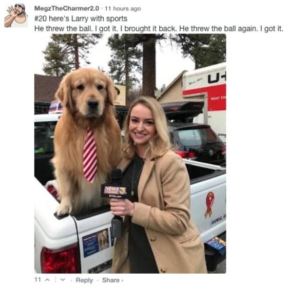 idyllwild california mayor - 23 MegzTheCharmer2.0 11 hours ago here's Larry with sports He threw the ball. I got it. I brought it back. He threw the ball again. I got it. 11 .