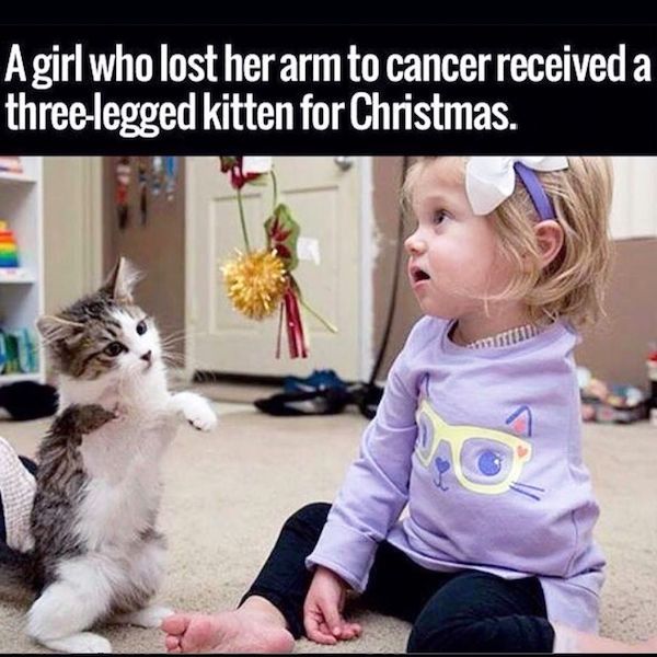 A girl who lost her arm to cancer received a threelegged kitten for Christmas.