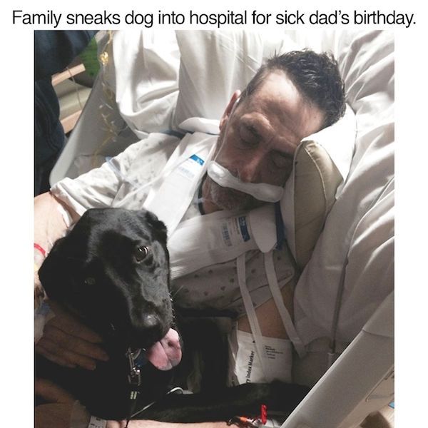 Dog - Family sneaks dog into hospital for sick dad's birthday.