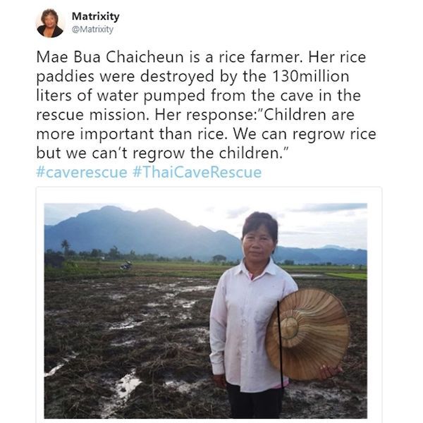 Paddy field - Matrixity Mae Bua Chaicheun is a rice farmer. Her rice paddies were destroyed by the 130million liters of water pumped from the cave in the rescue mission. Her response"Children are more important than rice. We can regrow rice but we can't r