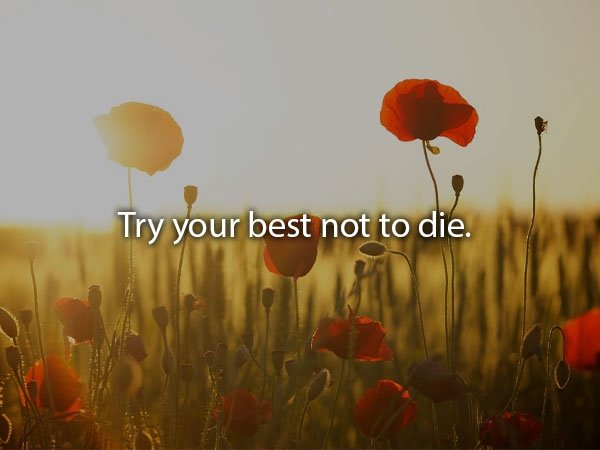 Try your best not to die.