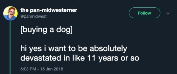 multimedia - the panmidwesterner buying a dog hi yes i want to be absolutely devastated in 11 years or so