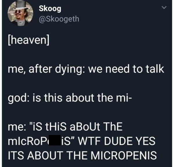 micropenis god meme - Skoog heaven me, after dying we need to talk god is this about the mi me "iS tHiS aBoUt The micROPI Is" Wtf Dude Yes Its About The Micropenis