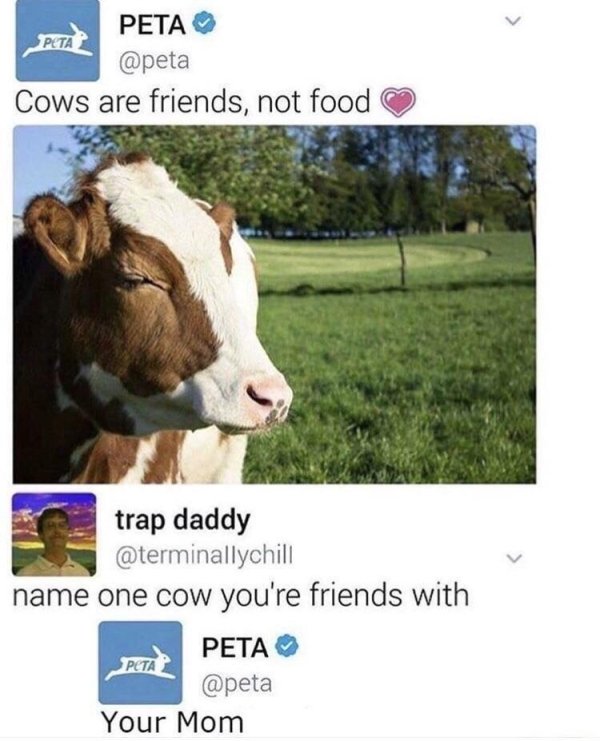 funny peta memes - Peta Cows are friends, not food trap daddy name one cow you're friends with Peta Peta Your Mom