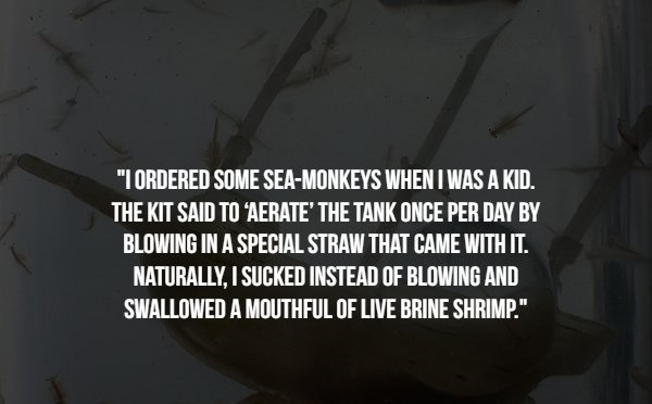brittany pierce - "I Ordered Some SeaMonkeys When I Was A Kid. The Kit Said To Aerate' The Tank Once Per Day By Blowing In A Special Straw That Came With It. Naturally, I Sucked Instead Of Blowing And Swallowed A Mouthful Of Live Brine Shrimp."