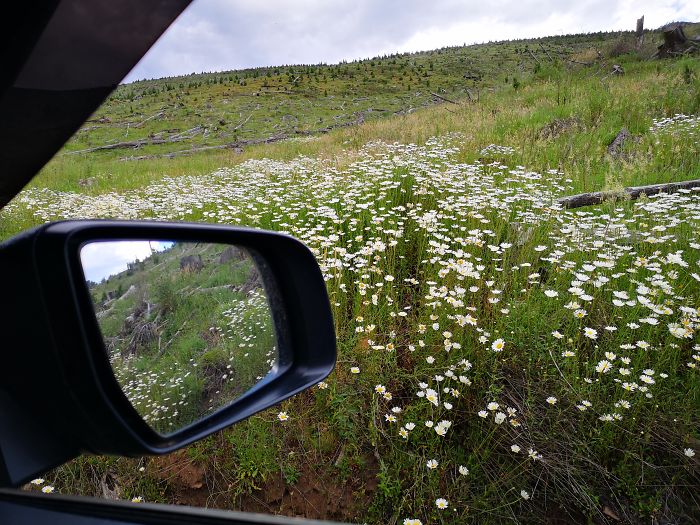 “After this area, I realized I might have bitten off more than I could chew due to the fact there was very limited space to turn around…. so I kept going anyway. I had about ~1000km of diesel (~550miles) left, a tent, a CB UHF radio and enough water and beer to survive a night. Cell access is available from the top of some hills.

This is in the Blue Mountains in New South Wales, Australia.”