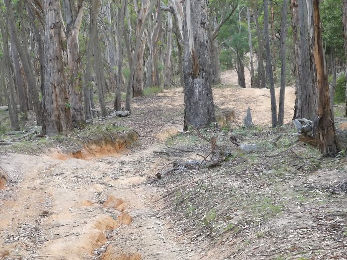 “More ruts… There was a lot of “controlled” sliding going on, which is where you are literally sliding on the belly of your car, using the steepness to help keep you sliding, without guarantee of wheels touching the ground.”