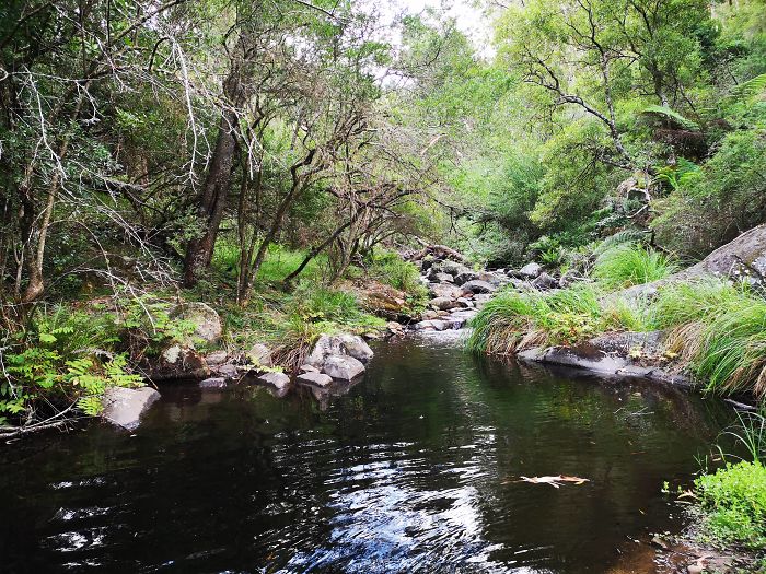 “After the sketchyness I ended up in a bit of a rainforest. So took some photos while crossing rivers.”