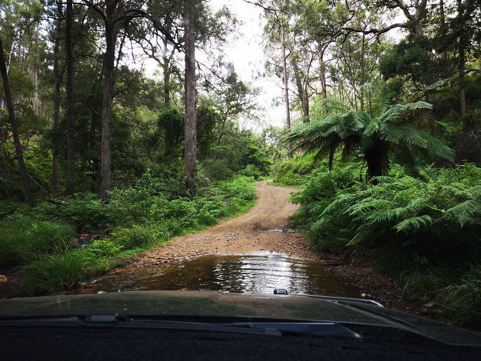 “The road turned to more of this which was nice and just a scenic drive.”