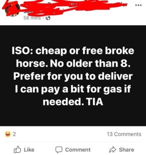 choosing beggars - first direct - 56 mins Iso cheap or free broke horse. No older than 8. Prefer for you to deliver I can pay a bit for gas if needed. Tia 13 Comment