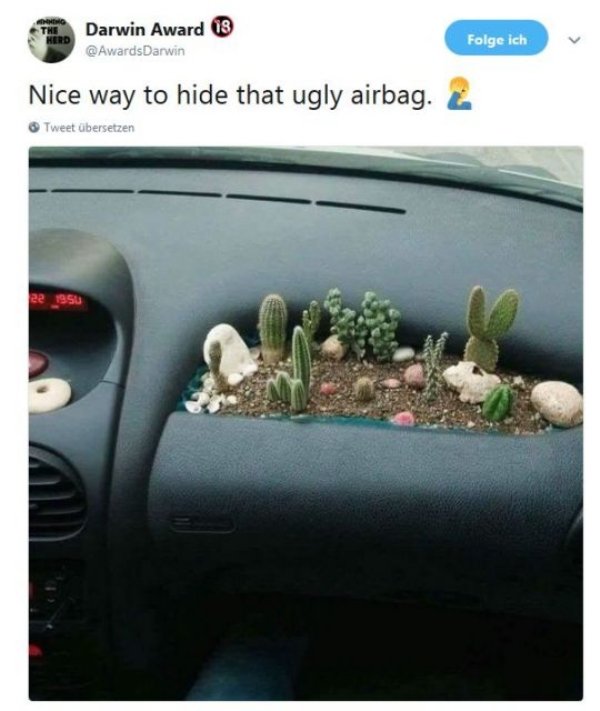 cactus airbag - Till Darwin Award iB Darwin Folge ich Nice way to hide that ugly airbag. & Tweet bersetzen
