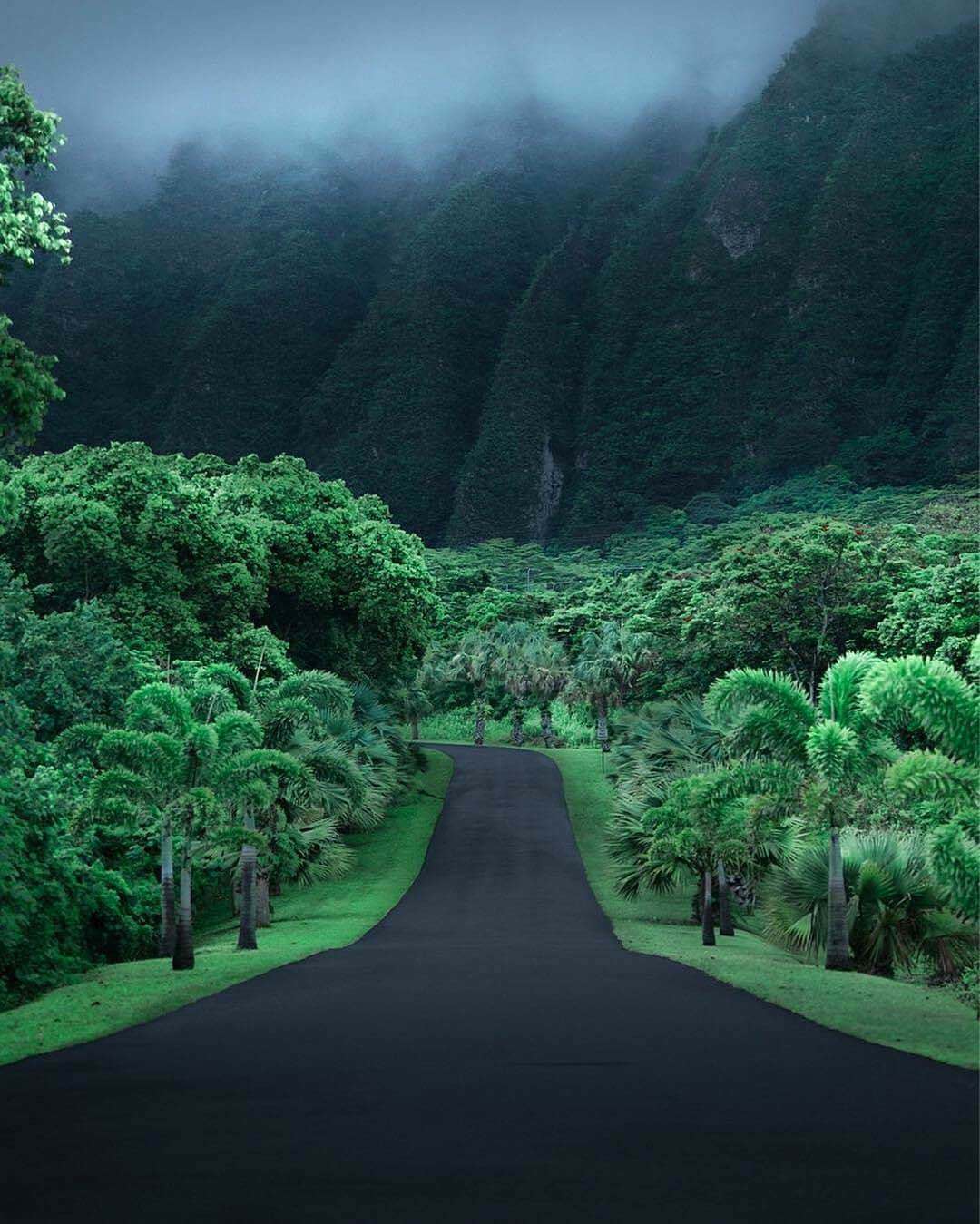 empty road in hawaii