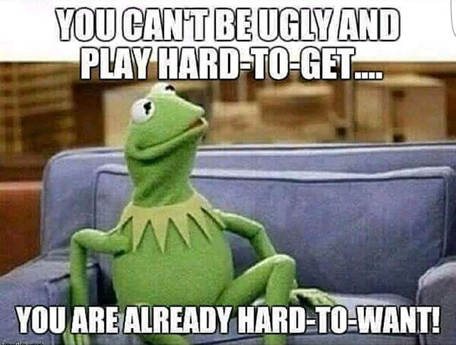 kermit memes home alone - You Cant Be Ugly And Play HardToGet... You Are Already HardToWant!