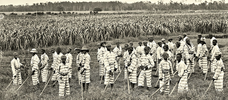 Juvenile convicts at work in the fields – 1903