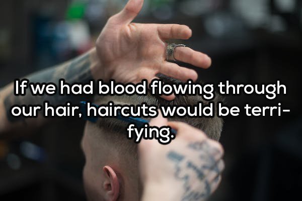 If we had blood flowing through our hair, haircuts would be terri fying.