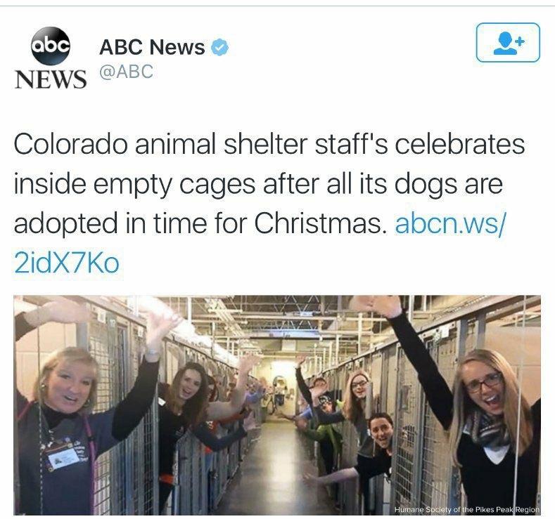 empty animal shelters - abc Abc News News Colorado animal shelter staff's celebrates inside empty cages after all its dogs are adopted in time for Christmas. abcn.ws 2idX7ko Humane Society of the Pikes Peak Region