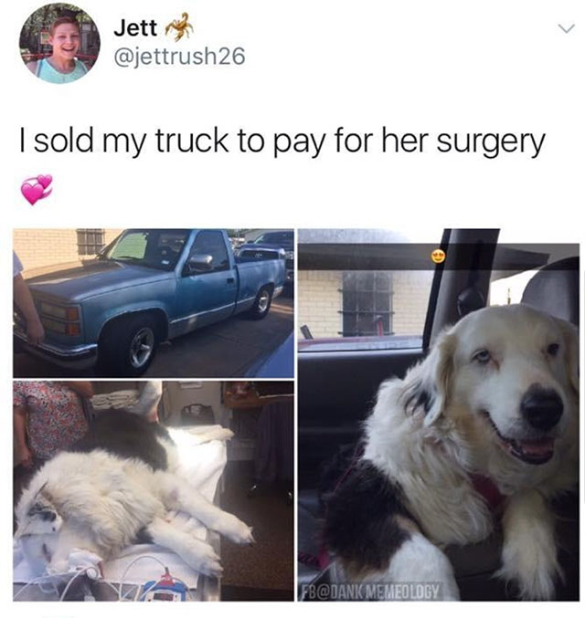 memes random but cute - Jett med I sold my truck to pay for her surgery Fb Memeology