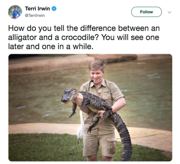 steve irwin kids meme - Terri Irwin How do you tell the difference between an alligator and a crocodile? You will see one later and one in a while.
