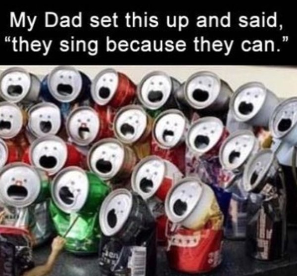 they sing because they can - My Dad set this up and said, "they sing because they can." Oyo 0 0
