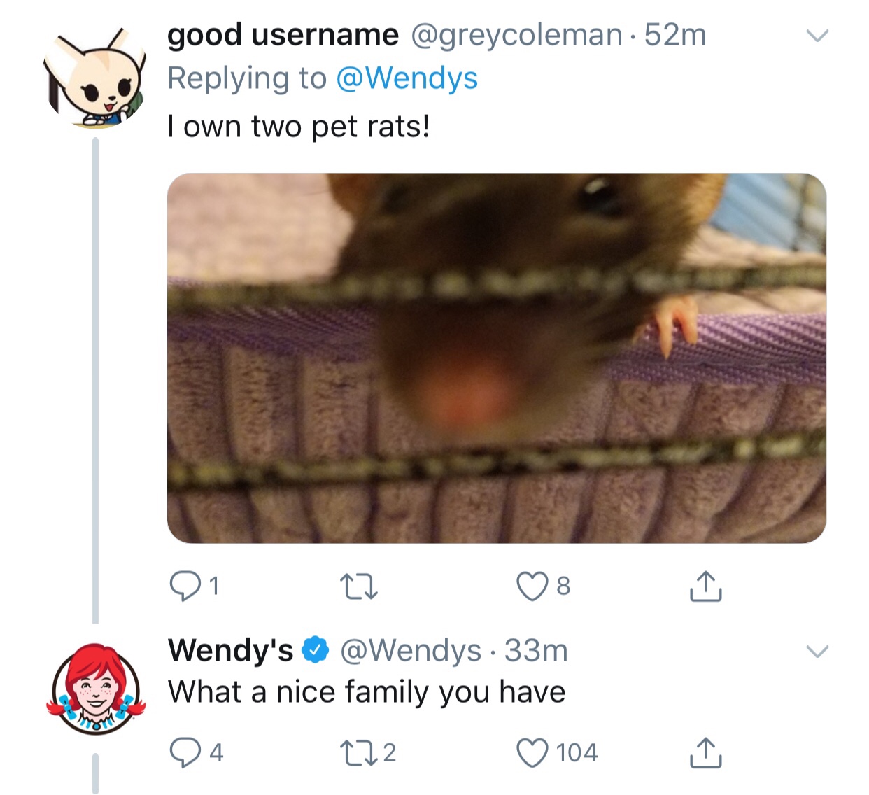 tweet - wendy's company - good username 52m I own two pet rats! 012781 Wendy's 33m What a nice family you have 04 272 0104 I