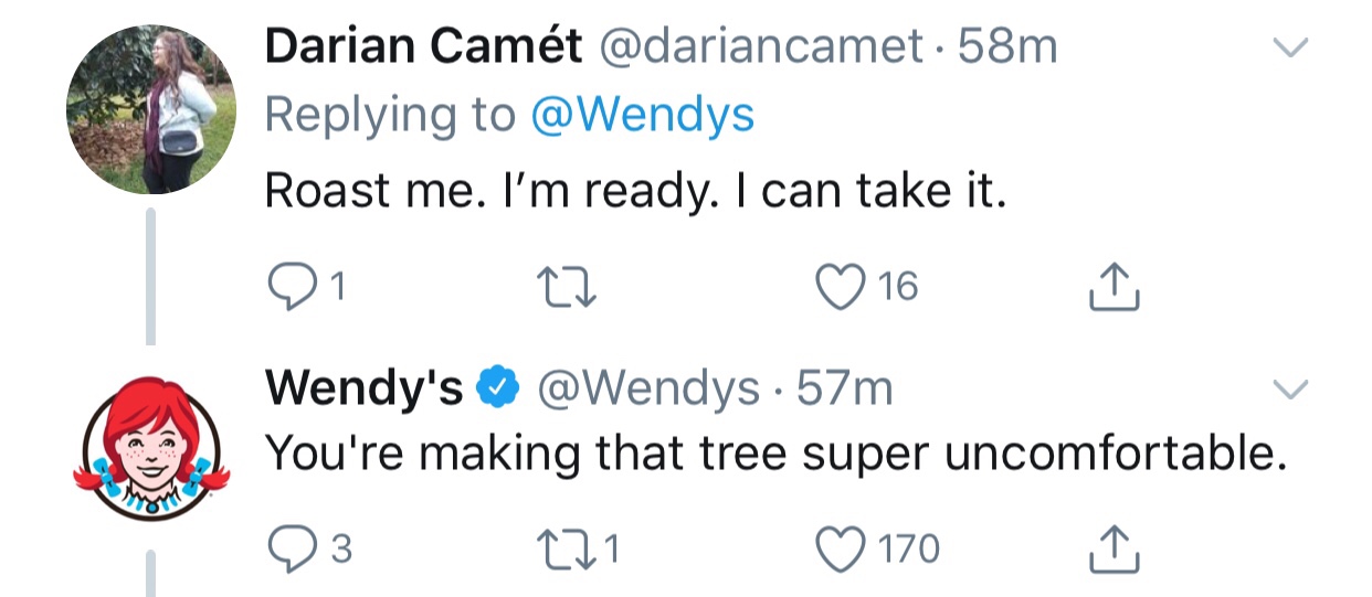 tweet - wendys roast - Darian Camt . 58m Roast me. I'm ready. I can take it. 21 16 Wendy's ~ 57m You're making that tree super uncomfortable. 03 271 170 i