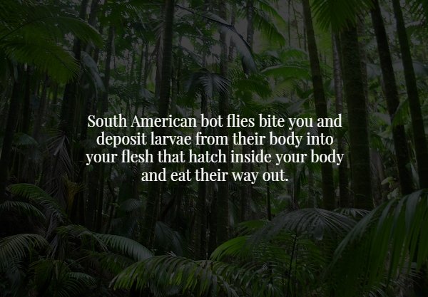 vegetation - South American bot flies bite you and deposit larvae from their body into your flesh that hatch inside your body and eat their way out.