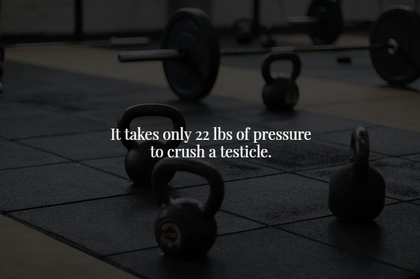 physical fitness - It takes only 22 lbs of pressure to crush a testicle.