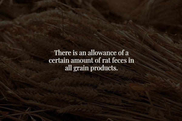 rope - There is an allowance of a certain amount of rat feces in all grain products.