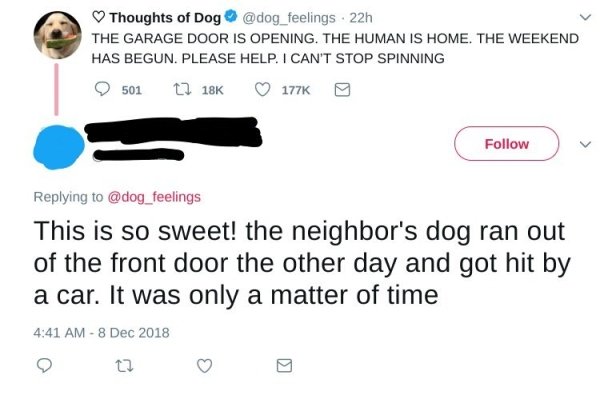old people on the internet - Thoughts of Dog 22h The Garage Door Is Opening. The Human Is Home. The Weekend Has Begun. Please Help. I Can'T Stop Spinning 501 This is so sweet! the neighbor's dog ran out of the front door the other day and got hit by a car