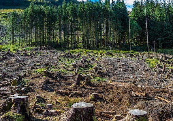 Loss of Topsoil.
Half the planet’s topsoil has been lost in the past 150 years due to deforestation, erosion and unsustainable farming. This means decreasing crop yields (and GMO’d crops), diminishing biodiversity, flooding, and tainted water.

Basically put, this means that we’re slowly turning viable land into a desert wasteland, and the parts that remain, are going to be worth fighting over.